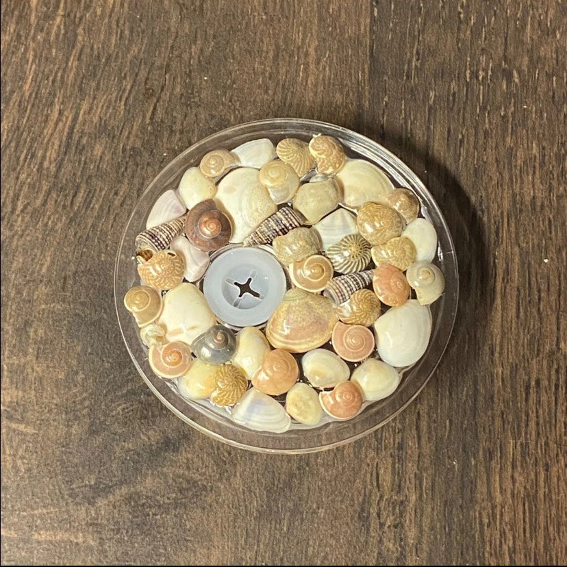 Custom Lid Add On